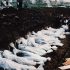 Ahmići 1993: Žive zapalili majku i njeno četvoro djece