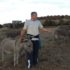Krajišnik Izet Babić uzgaja autohtone bosanske magarce