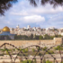 Izrael krije podatke o slučajevima koronavirusa u Istočnom Jerusalemu