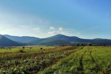 Za ustanike su i djeca bila ustaše