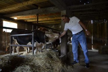 “Vrijeđate nas svojim izjavama, ministar Ramić je na terenu i pomaže nam”