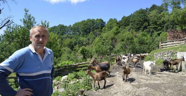 Povratničke priče: Bosna ne može biti u Francuskoj