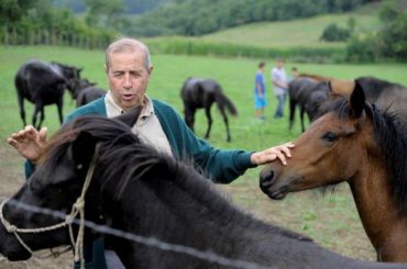 Za Džigita bih dao i ženu i staru majku