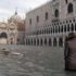 Abdulah Sidran: Zašto tone Venecija
