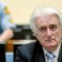 KONAČNO: Ratnom zločincu Radovanu Karadžiću kazna doživotnog zatvora