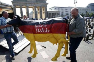 U Njemačkoj krave nikad ne spavaju